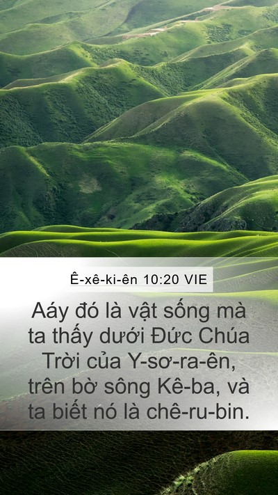 Ê-xê-ki-ên 10:20 VIE Bible Verse Image