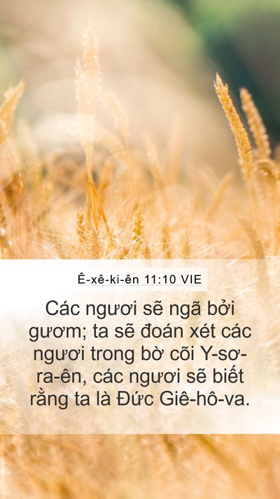 Ê-xê-ki-ên 11:10 VIE Bible Verse Image