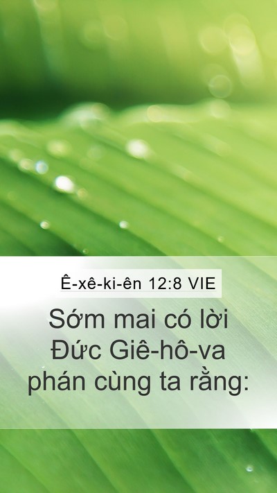 Ê-xê-ki-ên 12:8 VIE Mobile Phone Wallpaper - Sớm mai có lời Đức Giê-hô-va phán - Mobile Bible Verse Wallpaper