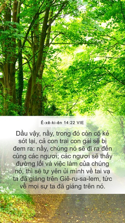 Ê-xê-ki-ên 14:22 VIE Bible Verse Image