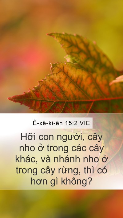 Ê-xê-ki-ên 15:2 VIE Bible Verse Image