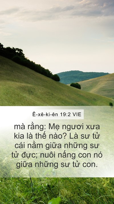 Ê-xê-ki-ên 19:2 VIE Bible Verse Image