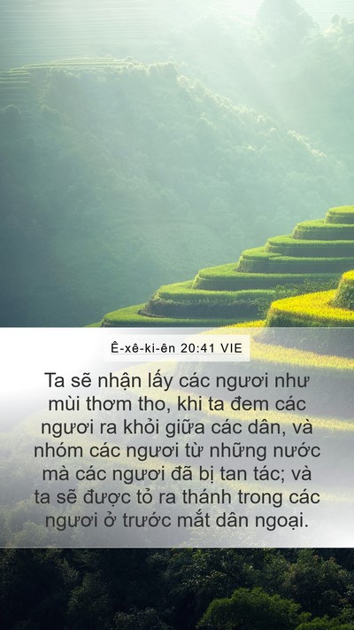 Ê-xê-ki-ên 20:41 VIE Bible Verse Image