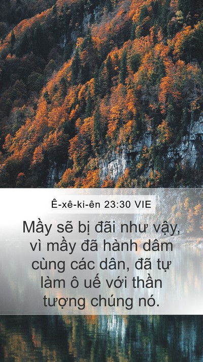 Ê-xê-ki-ên 23:30 VIE Bible Verse Image