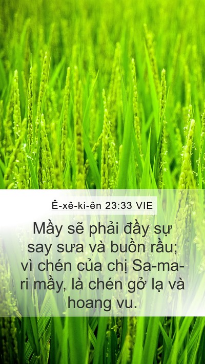 Ê-xê-ki-ên 23:33 VIE Mobile Phone Wallpaper - Mầy sẽ phải đầy sự say sưa và buồn - Mobile Bible Verse Wallpaper