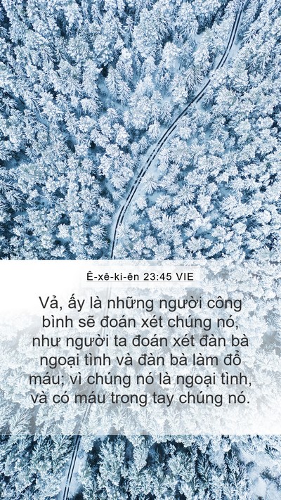 Ê-xê-ki-ên 23:45 VIE Bible Verse Image