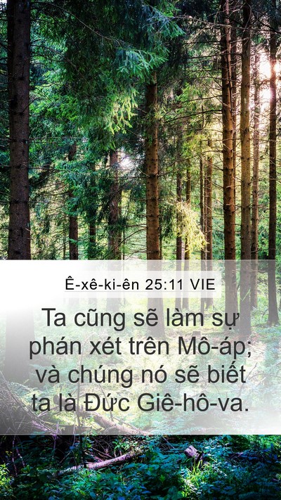 Ê-xê-ki-ên 25:11 VIE Bible Verse Image