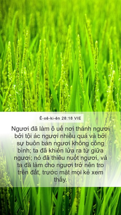 Ê-xê-ki-ên 28:18 VIE Bible Verse Image