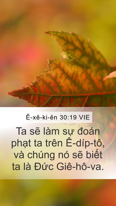 Ê-xê-ki-ên 30:19 VIE Mobile Phone Wallpaper - Ta sẽ làm sự đoán phạt ta trên - Mobile Bible Verse Wallpaper