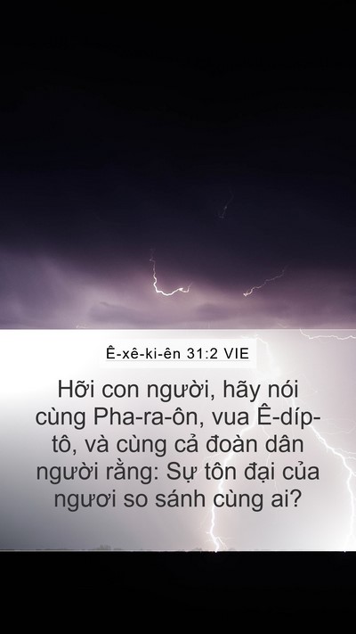 Ê-xê-ki-ên 31:2 VIE Mobile Phone Wallpaper - Hỡi con người, hãy nói cùng Pha-ra-ôn, - Mobile Bible Verse Wallpaper
