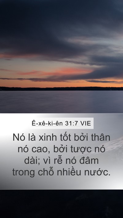 Ê-xê-ki-ên 31:7 VIE Mobile Phone Wallpaper - Nó là xinh tốt bởi thân nó cao, bởi - Mobile Bible Verse Wallpaper