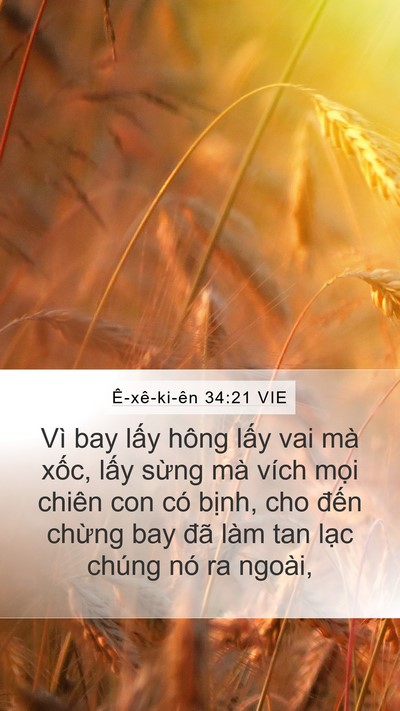 Ê-xê-ki-ên 34:21 VIE Bible Verse Image