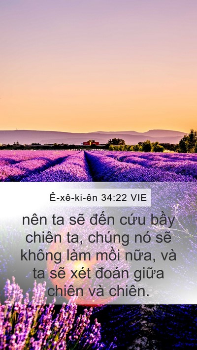 Ê-xê-ki-ên 34:22 VIE Bible Verse Image