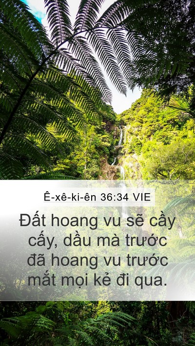 Ê-xê-ki-ên 36:34 VIE Mobile Phone Wallpaper - Đất hoang vu sẽ cầy cấy, dầu mà - Mobile Bible Verse Wallpaper
