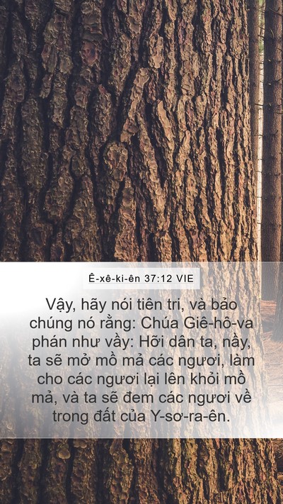 Ê-xê-ki-ên 37:12 VIE Bible Verse Image