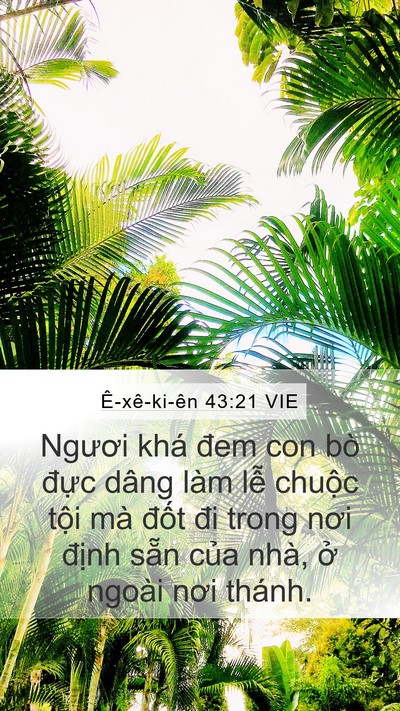 Ê-xê-ki-ên 43:21 VIE Mobile Phone Wallpaper - Ngươi khá đem con bò đực dâng làm lễ - Mobile Bible Verse Wallpaper