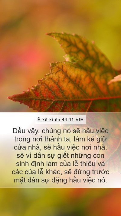 Ê-xê-ki-ên 44:11 VIE Bible Verse Image