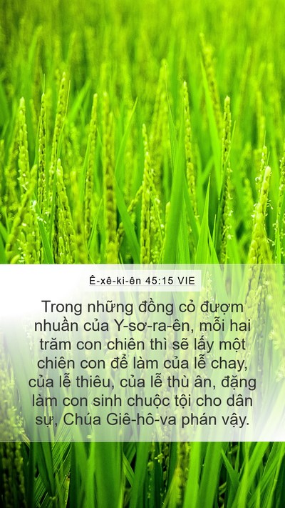 Ê-xê-ki-ên 45:15 VIE Bible Verse Image