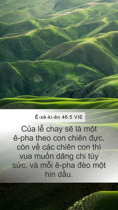 Ê-xê-ki-ên 46:5 VIE Bible Verse Image