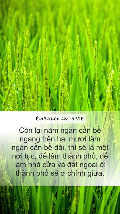 Ê-xê-ki-ên 48:15 VIE Bible Verse Image