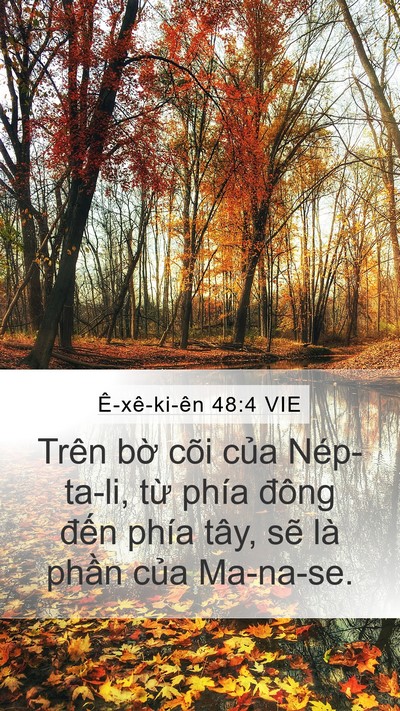 Ê-xê-ki-ên 48:4 VIE Mobile Phone Wallpaper - Trên bờ cõi của Nép-ta-li, từ phía - Mobile Bible Verse Wallpaper