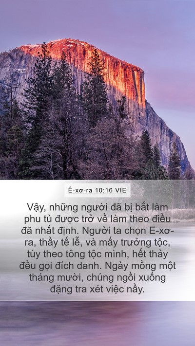 Ê-xơ-ra 10:16 VIE Bible Verse Image