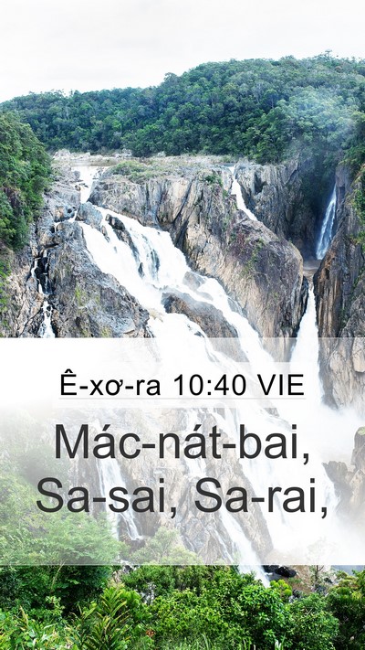 Ê-xơ-ra 10:40 VIE Mobile Phone Wallpaper - Mác-nát-bai, Sa-sai, - Mobile Bible Verse Wallpaper