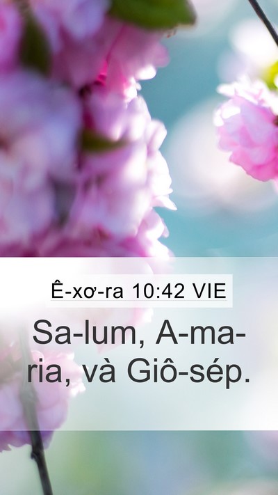 Ê-xơ-ra 10:42 VIE Mobile Phone Wallpaper - Sa-lum, A-ma-ria, và - Mobile Bible Verse Wallpaper