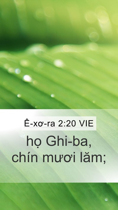 Ê-xơ-ra 2:20 VIE Bible Verse Image