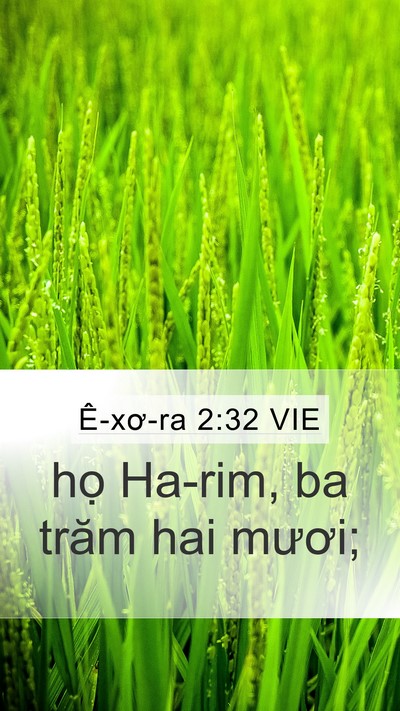 Ê-xơ-ra 2:32 VIE Mobile Phone Wallpaper - họ Ha-rim, ba trăm hai - Mobile Bible Verse Wallpaper