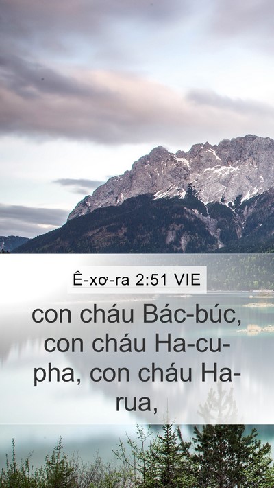 Ê-xơ-ra 2:51 VIE Mobile Phone Wallpaper - con cháu Bác-búc, con cháu Ha-cu-pha, con - Mobile Bible Verse Wallpaper