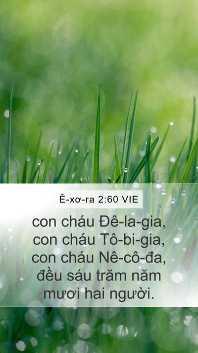 Ê-xơ-ra 2:60 VIE Bible Verse Image