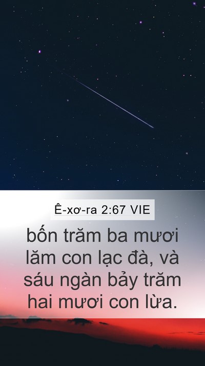 Ê-xơ-ra 2:67 VIE Mobile Phone Wallpaper - bốn trăm ba mươi lăm con lạc đà, và - Mobile Bible Verse Wallpaper