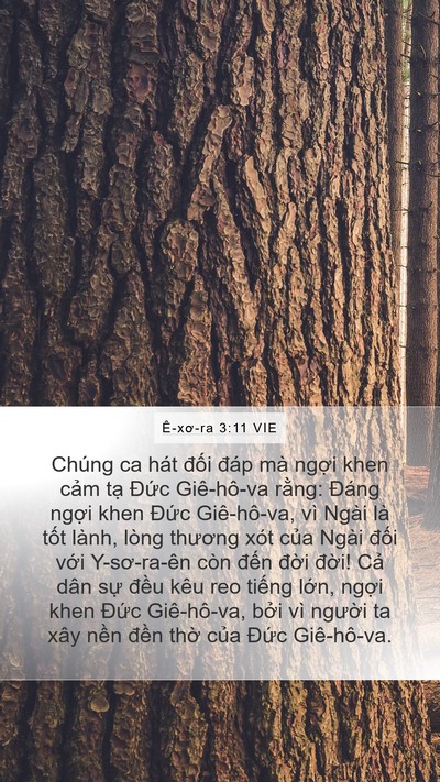 Ê-xơ-ra 3:11 VIE Bible Verse Image