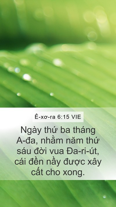 Ê-xơ-ra 6:15 VIE Bible Verse Image