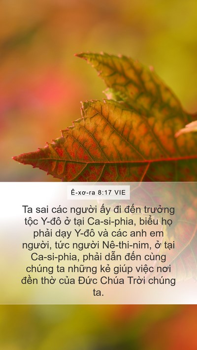 Ê-xơ-ra 8:17 VIE Mobile Phone Wallpaper - Ta sai các người ấy đi đến trưởng - Mobile Bible Verse Wallpaper