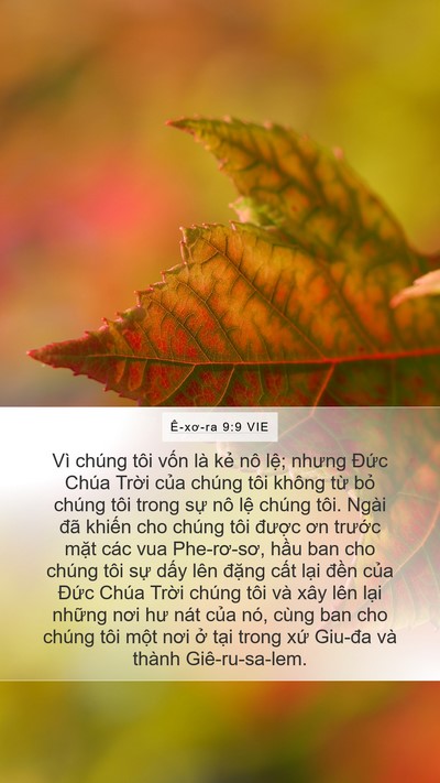 Ê-xơ-ra 9:9 VIE Bible Verse Image