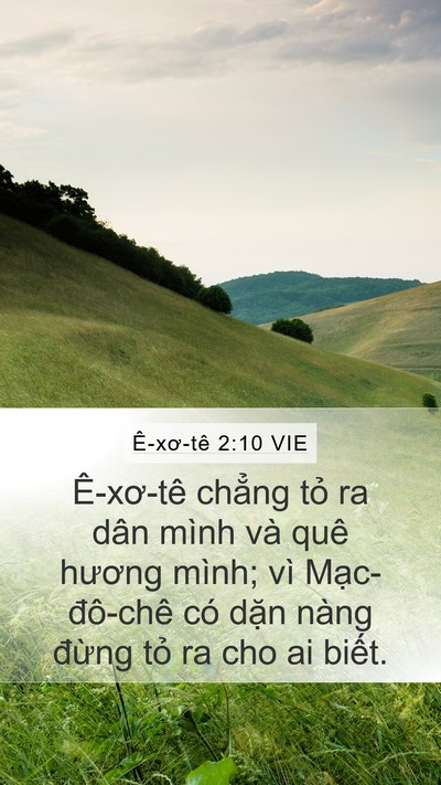 Ê-xơ-tê 2:10 VIE Mobile Phone Wallpaper - Ê-xơ-tê chẳng tỏ ra dân mình và quê - Mobile Bible Verse Wallpaper