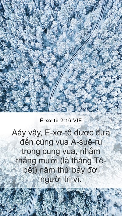 Ê-xơ-tê 2:16 VIE Bible Verse Image