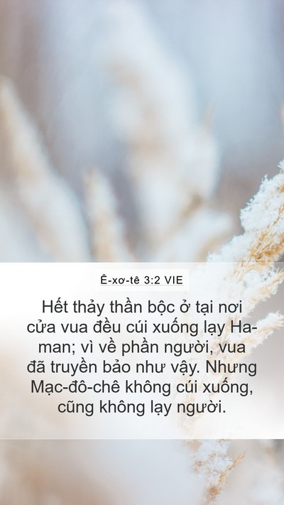 Ê-xơ-tê 3:2 VIE Bible Verse Image