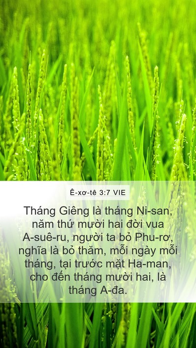 Ê-xơ-tê 3:7 VIE Mobile Phone Wallpaper - Tháng Giêng là tháng Ni-san, năm thứ - Mobile Bible Verse Wallpaper
