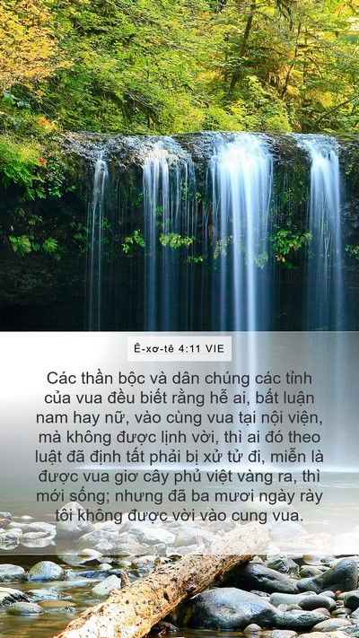 Ê-xơ-tê 4:11 VIE Bible Verse Image