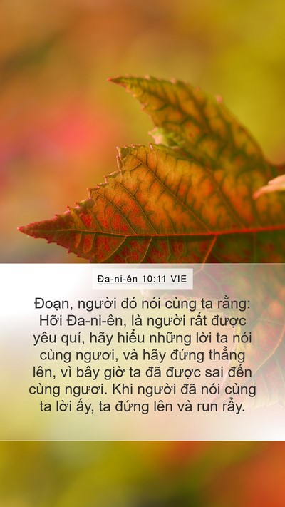 Ða-ni-ên 10:11 VIE Bible Verse Image