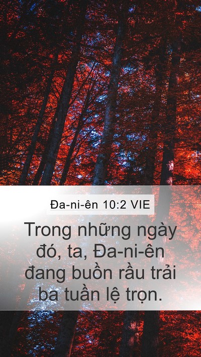 Ða-ni-ên 10:2 VIE Bible Verse Image