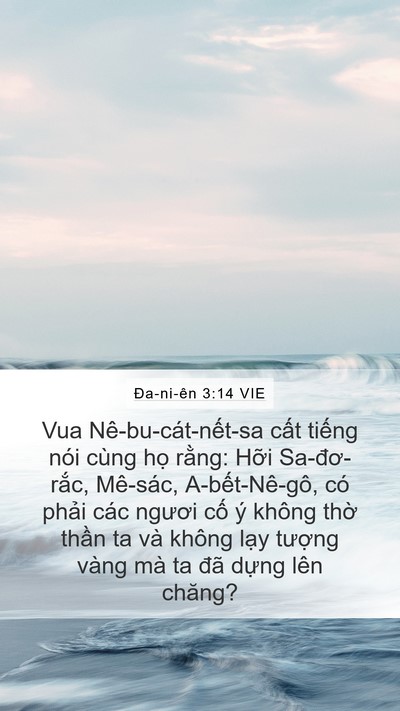 Ða-ni-ên 3:14 VIE Mobile Phone Wallpaper - Vua Nê-bu-cát-nết-sa cất tiếng nói cùng - Mobile Bible Verse Wallpaper