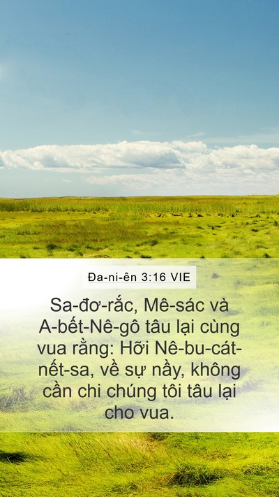 Ða-ni-ên 3:16 VIE Bible Verse Image