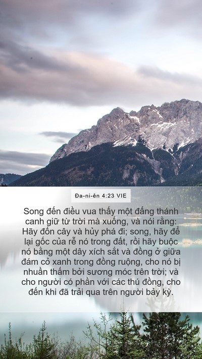Ða-ni-ên 4:23 VIE Bible Verse Image