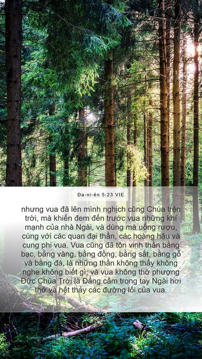 Ða-ni-ên 5:23 VIE Bible Verse Image