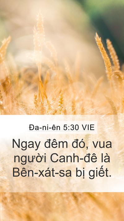 Ða-ni-ên 5:30 VIE Bible Verse Image