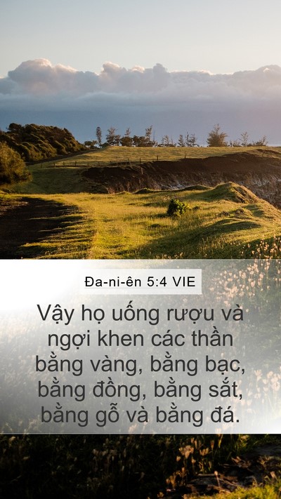 Ða-ni-ên 5:4 VIE Bible Verse Image